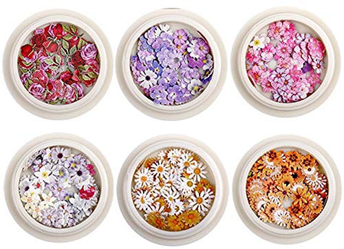 6 Pcs Nail Flower Set Mini Natural Real Dried Flower Decal Nail Decoration Stickers