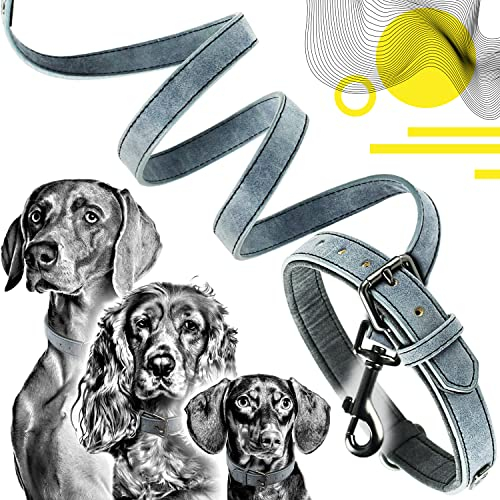 ne&no® Halsband und Leine Set (veganes Leder) Hundeleine mit Halsband I robuste Hundeleine mit Karabiner I Hundehalsband verstellbar I 1.2m Dog Leash I biegsam und extra weich (M, blau/anthrazit)