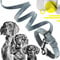 ne&no® Halsband und Leine Set (veganes Leder) Hundeleine mit Halsband I robuste Hundeleine mit Karabiner I Hundehalsband verstellbar I 1.2m Dog Leash I biegsam und extra weich (M, blau/anthrazit)