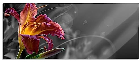 Pixxprint Glasbild Panorama, Wandbild aus Echtglas, atemberaubende Lilie, 120x50 cm, inkl. Aufhängung und Abstandshalter