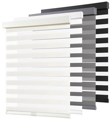 AOSKY Cordless Zebra Blinds for Windows Pull Down Roller Window Shades Dual Layer Light Filtering Privacy for Day and Night, Free-Stop Door Shades for Home Easy to Install (40 W X 72 H, Beige)