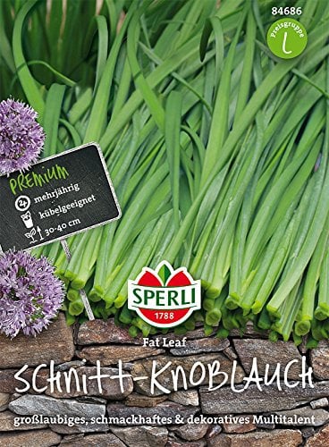 Schnitt-Knoblauch, 'Fat Leaf'