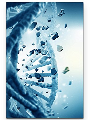 SIN-US 74 DNA - Poster gerollt 90x60cm