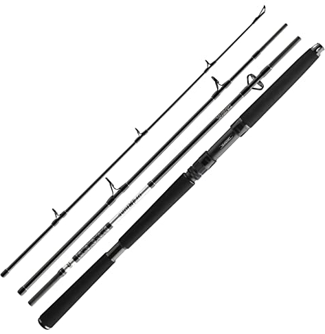 Daiwa BG Offshore Travel Pilk 2,25m 150-500g Reiserute