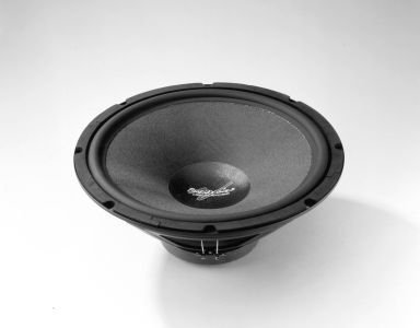 PHOENIX GOLD XS154DVC, Caisson de Basses Double 38 cm, 300 W RMS