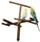 Vogelgaleria® Käfigantenne, Cooles Vogelspielzeug als Anflugstange oder Sitzplatz aus Naturholz