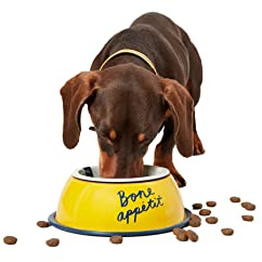 Rosewood Joules Bone Appetite Dog Bowl