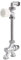 Thermostatventil – 4-Wege-Einfachrohr – r436/1 tg – r436ix043 – zum Schrauben – männlich – Durchmesser 1/2 – Giacomini r436ix04