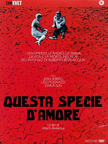 Questa specie d'amore [IT Import]