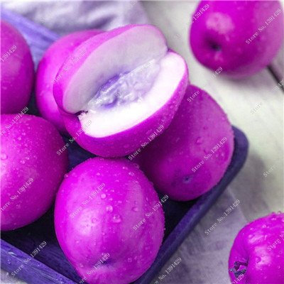 Bunte Jujube Zizyphus Mauritiana Seeds indische Dattelpalme Nicht-GVO-Bio-Frucht Bonsai-Baum-Samen Seltene Außendekoration 10 PC 1