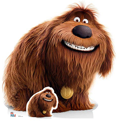 SC1380 Duke Big Dog Secret Life of Pets Lifesize Cardboard Cutout/Standee/Standup Height 110cm Width 107cm Perfect for Fans, Collectors and Events, Multicolour