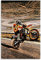 Iooie Leinwand Malerei Bild Supermoto Wheelie.webp und Bild für Wohnzimmer Dekor Poster Wandkunst Bilder Und Drucke 23.6x35.4(60x90cm) Kein Rahmen