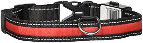 Cesar Millan Original Bright Light Collar LED Hundehalsband USB Sollar, Größe M