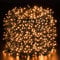 Quntis 100m 1000 Warm White Christmas Tree Lights Mains Powered Low Voltage Waterproof Led Cluster Lights Wonderful Outdoor Xmas Fairy Lights for Garden Patio Decks Balcony Lawn Yard Decorations
