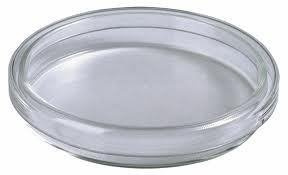 90MM GLASS PETRI DISH