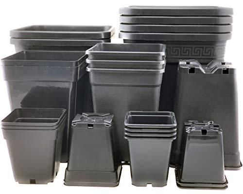 Bato 1-STK 3,5-L Profi Pflanztopf viereckig 15x15 x 20-cm PP aus Kunststoff für innen & aussen Blumentopf Blumenkübel für kleine mittel & große Pflanzen in schwarz eckig und hoch rechteckig