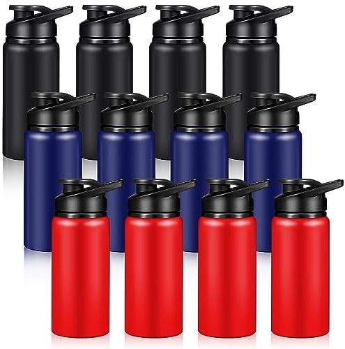 CHENGU 12-teiliges Aluminium-Wasserflaschen-Set, Vakuum, Metall, Sport, Fahrrad, Wasserflasche, wiederverwendbare Reiseflaschen mit Deckel, für Fitnessstudio, Sport, Camping, Wandern, Angeln (500 ml)