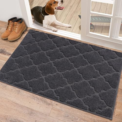 COSY HOMEER Fussmatte Innen 60 x 90 cm, Schmutzfangmatte Waschbar 1,5 cm Dicke, Eingangsteppich Sauberlaufmatte Hundeteppich Maschinenwaschbar für Flur, Küche, Hintertür, Dunkelgrau