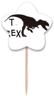 Palillos de dientes con nombre de dinosaurio, carnívoro, para caza, palillos de dientes, etiqueta de estrella, palillos