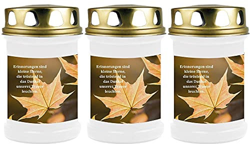 HS Candle Grabkerze Grablicht - 3er Pack - (Blatt Laub) - ca 40h Brenndauer je Kerze (14,5cm, Ø 7cm) - viele Verschiedene Designs