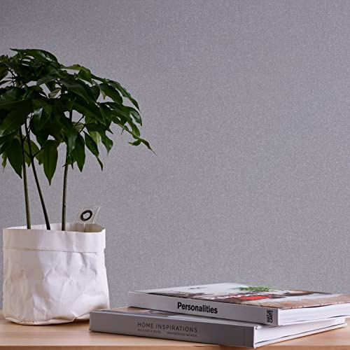A.S. Création Terra 389257 Non-Woven Wallpaper Plain Grey 10.05 m x 0.53 m Made in Germany