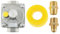 gohantee 1,27 cm Gasdruckregler, Erdgas und Flüssiggaswechseldruckregler mit 2 Messing-NPT-Umwandlungsadapter für NG/LPG-Anwendungen