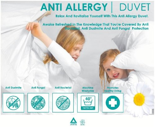 SleepyNights ANTI ALLERGY HOLLOW FIBRE DUVET - NON ALLERGENIC SINGLE 13.5 TOG