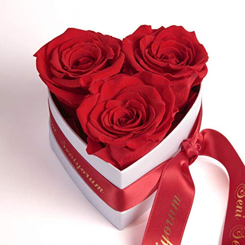 Rosenbox Herz 3 Infinity Rosen - Liebesbeweis (Rot, Seni Seviyorum)