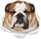 Winston & Bear Lustige Bulldogge Wandaufkleber – 2 Stück – Englische Bulldogge 3D Aufkleber Hund Aufkleber für Wände, Autos, Toilette und mehr – Einzelhandelsverpackung, britische Bulldogge Geschenke