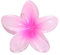 Blumenklammern Für Dickes Haar - Haarspange Große Krallenklammern,Bunte Blumen-Haarspangen, Urlaubsgeschenke Für Mädchen Und Damen, Um Dickes Und Dünnes Haar Zu Krallen