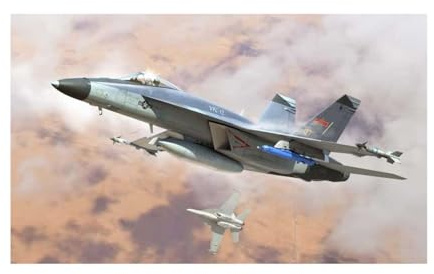 HobbyBoss - 1/48 FA-18E Super Hornet VFC-12 - Plastik-Modellbau - Maßstab: 1:48