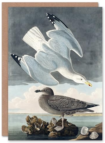 Artery8 John James Audubon Art Card Birds of America Herring Gull