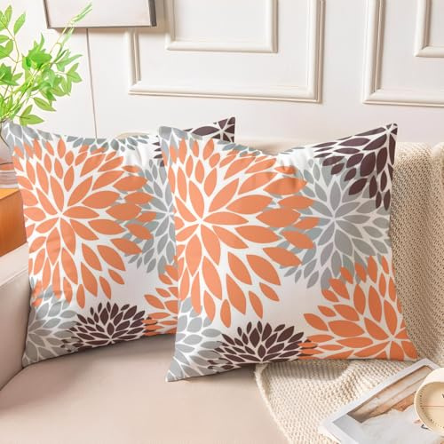 Miuyunya Samt Kissenbezüge Braun 50x50 Kissenhülle Taupe Grau 2er Set Sofakissen Samtkissen Dekorative Moderne Weich Zierkissenbezüge Square für Wohnzimmer Herbst Winter Couchkissen Deko
