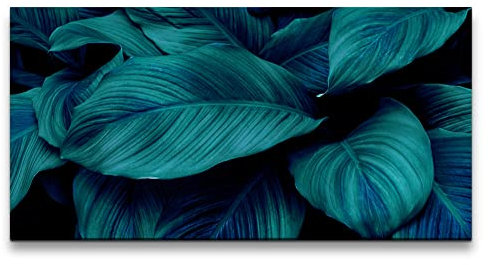 Paul Sinus Leinwandbild 120x60cm Grüne Blätter Dekorativ Pflanzen Kunstvoll Fotokunst