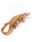 HAUCOZE Krokodil Skulptur Deko Modern Statue Arts Tier Geschenk Polyresin Gold 36cm