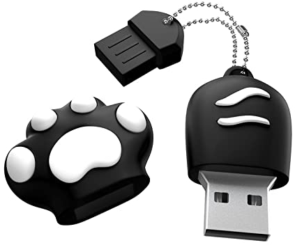 Chiavetta USB,64GB Pen Drive USB 2.0,Mini Flash Drive Adorabile,Creativo Penna USB Con Zampa di Gatto,Memory Stick-Nero Chiavetta Usb Regalo