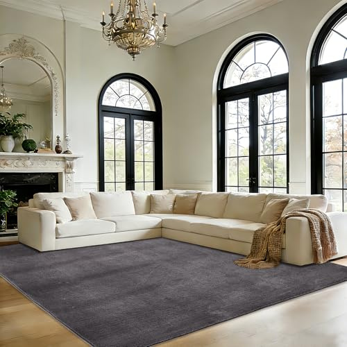 Novalife Teppich Kurzflor Teppich für Wohnzimmer,Weich Waschbarer & Anti-Rutsch Modern Shaggy Carpet für Schlafzimmer, Kinderzimmer