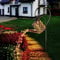 Regadera solar con cadena de luces para exteriores, decoración de jardín, LED exterior, impermeable, decoración de jardín, regadera, luces con gancho de pastor, luces solares vintage para jardín,