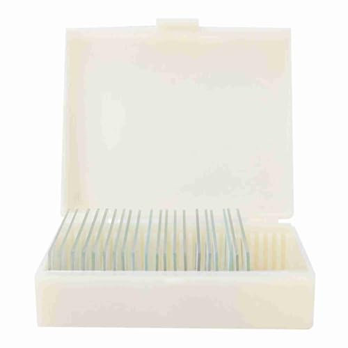 20pcs Biology Microscope Slide, Optical Glass Specimens with Dye Treatment for Clear Structure, Safe to Use with Shockproof Box, Ideal for Microbiology Studies