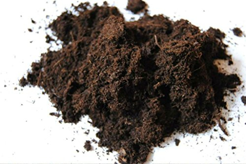 Reiner Weißtorf für fleischfressende Pflanzen und zur Bodenverbesserung, ungedüngt, naturbelassen 60 Liter von BLÜHKING®