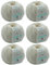 Merino Wolle zum Stricken - Merino Wolle naturweiß (Fb 3800) - 6 Knäuel Merinogarn in weiß - weiße Merinowolle - 50g/75m - Nadelstärke 6-7mm - weiche Wolle - Merino Wolle von MyOma