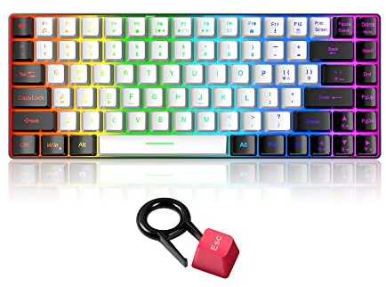 Snpurdiri Kabelgebundene Gaming Tastatur, Kompakte Mini Office Tastatur, Ergonomische RGB Hintergrundbeleuchtung für Windows, PC, Laptop (84 Tasten, Weiß Schwarz)