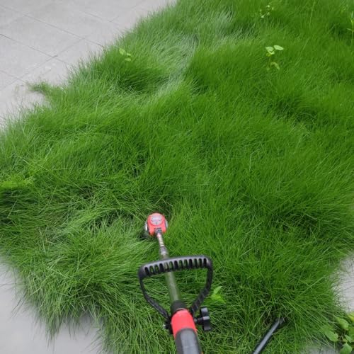 500 pcs Rasensamen Zoysia, grassamen, pflanzen samen indoor, pflanzen winterhart ziergras winterhart blumenwiese herbstaussaat mehrjährig winterharte kübelpflanzen outdoor pflanzen,