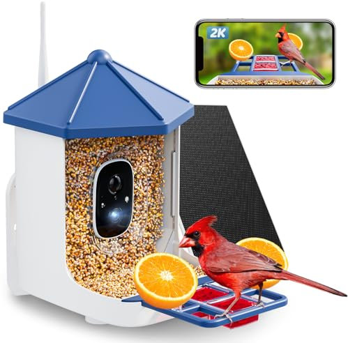 Solareye Nourrisseur d'oiseaux avec caméra, Vision Nocturne HD 2K, Identification AI des Oiseaux, alertes de Mouvement, Panneau Solaire Inclus – Idéal comme Cadeau pour Les Amoureux des Oiseaux