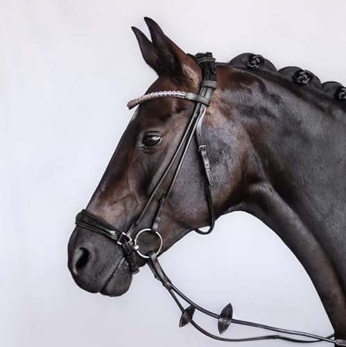 BRIDLERY Trense Excellence Beschläge Silber, Farbe Schwarz, Größe Warmblut