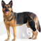 Kniebandage für Hunde, Ellenbogenschutz für Hunde, Ellenbogenbandage Hund Vorderbein/Hinterbein, für gerissenes ACL-Hinterbein, verhindert das Lecken von Wunden (L)