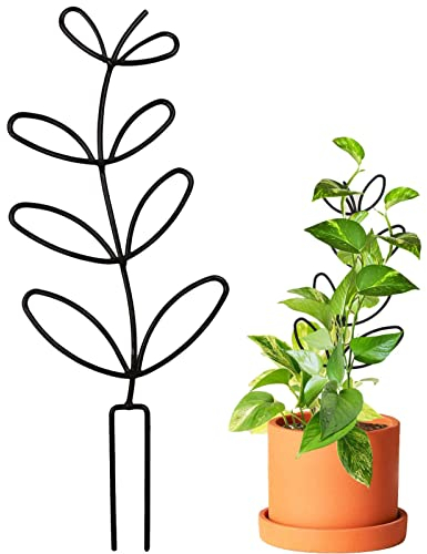 Decorhome Gartenspalier, Metall-Pflanzenspalier für den Innenbereich - Metallständer für Pflanzen,Kletterblattform-Gartenspalier für Topfpflanzen, Zimmerpflanzen und Gartenpflanzen