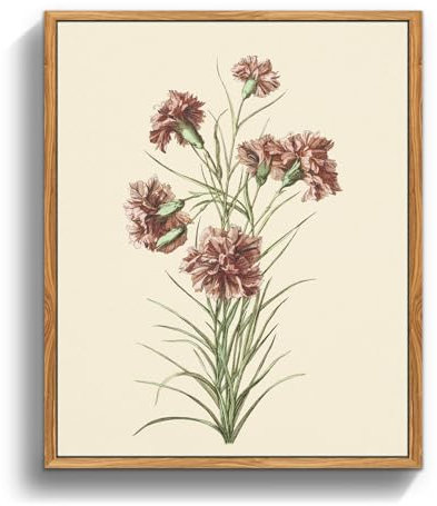 MHARTK66 Vintage Botanisch Leinwand Bilder mit Rahmen Holz, 20x25 cm Klein Wandbilder Wohnzimmer Rosa Nelke Kräuterbotanik Bild Aesthetic, Illustration Wanddeko Schlafzimmer Badezimmer Büro Zimmer