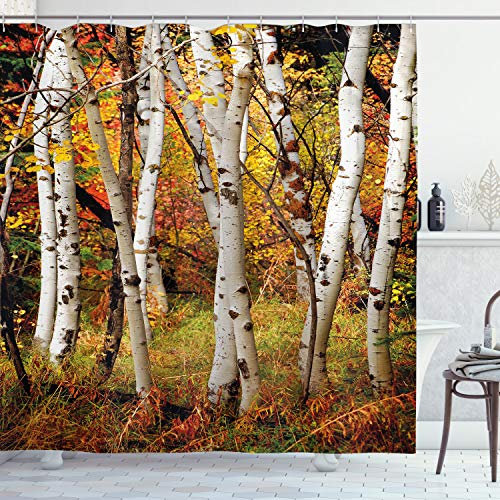 ABAKUHAUS Herbst Duschvorhang, Weiße Birken Serenity, Stoffliches Gewebe Badezimmerdekorationsset mit Haken, 175 x 200 cm, Orange Grün