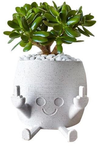Funny Plant Pot with Fingers Up - Novelty Resin Smile Succulent Flower Pots, Cute Small Plant Pot, Smiley Face Plant Pot for Indoor Outdoor Garden Plant, Gifts for Lovers Home Table Decor (White)